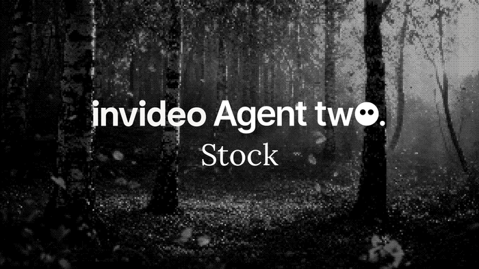 Introducing Stock - invideo Agent Two